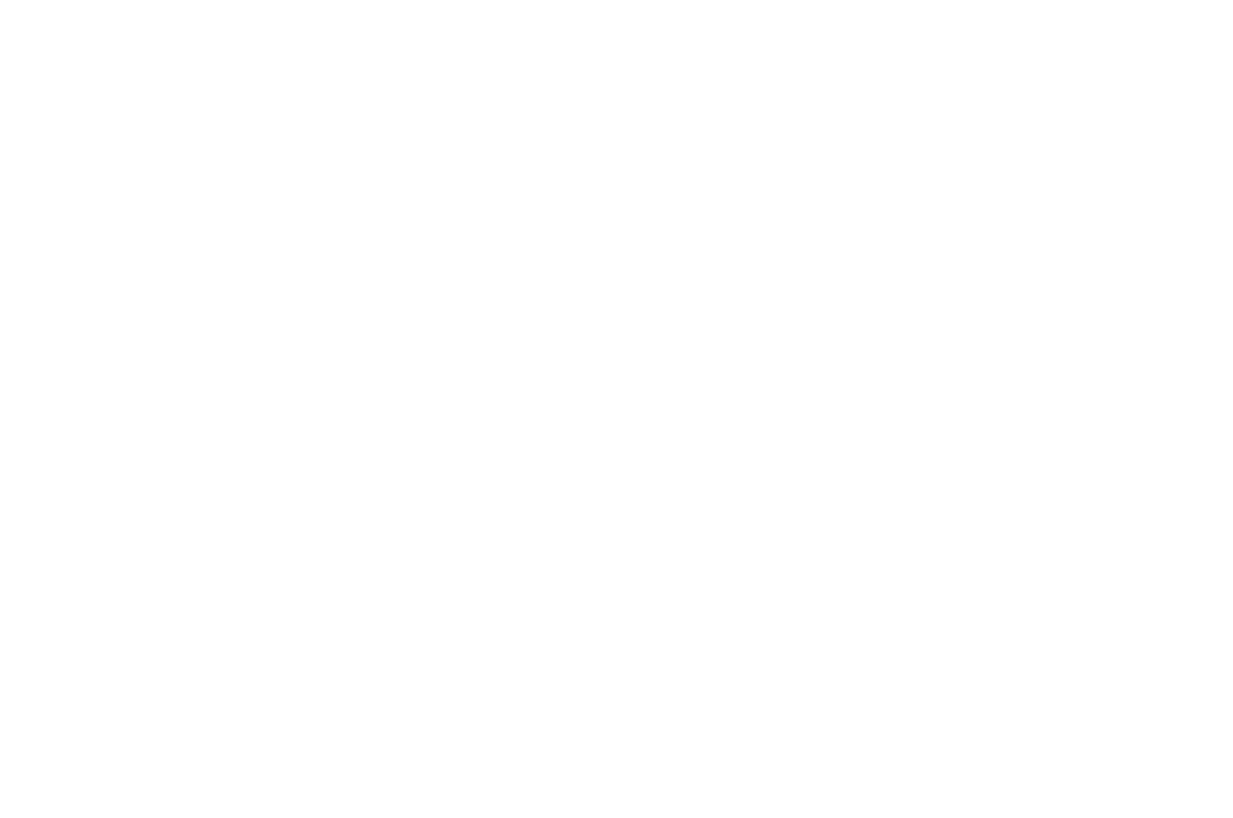 REMI WINNER - WorldFest-Houston International Film Festival - 2025